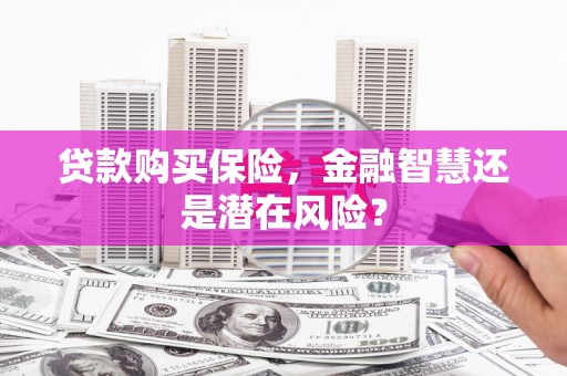 科尔沁左翼后旗贷款购买保险，金融智慧还是潜在风险？