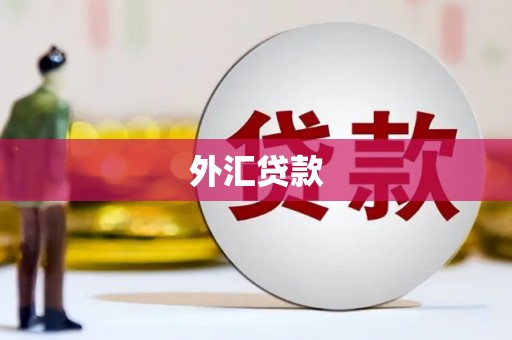科尔沁左翼后旗外汇贷款