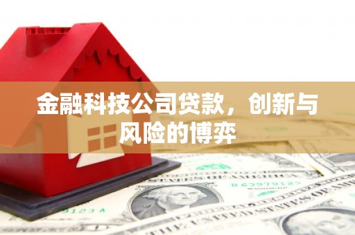 科尔沁左翼后旗金融科技公司贷款，创新与风险的博弈
