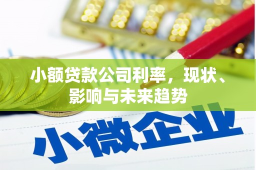 科尔沁左翼后旗小额贷款公司利率，现状、影响与未来趋势