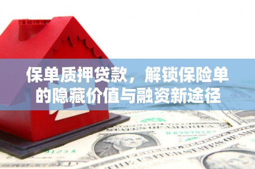 科尔沁左翼后旗保单质押贷款，解锁保险单的隐藏价值与融资新途径