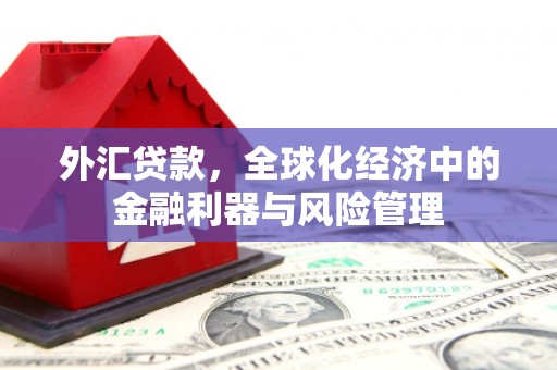 科尔沁左翼后旗外汇贷款，全球化经济中的金融利器与风险管理