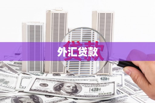 科尔沁左翼后旗外汇贷款