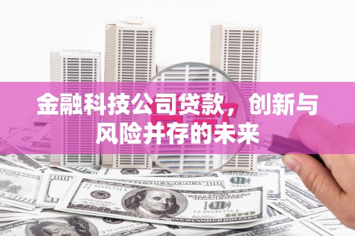 科尔沁左翼后旗金融科技公司贷款，创新与风险并存的未来