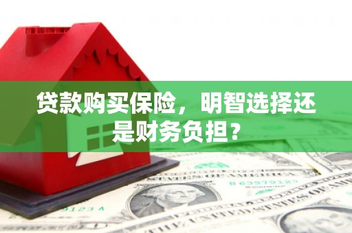 科尔沁左翼后旗贷款购买保险，明智选择还是财务负担？