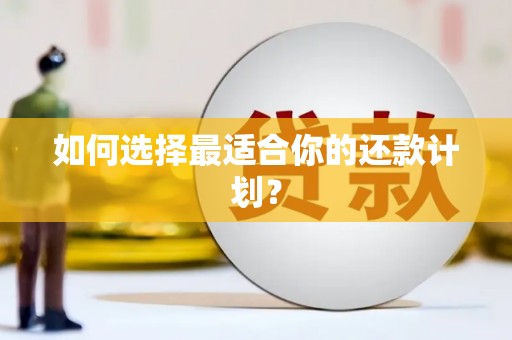 科尔沁左翼后旗如何选择最适合你的还款计划？