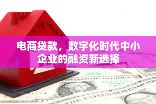 科尔沁左翼后旗电商贷款，数字化时代中小企业的融资新选择