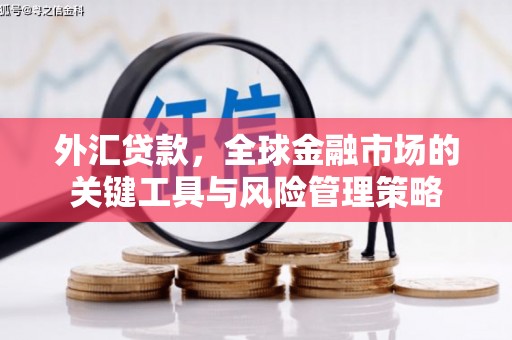 科尔沁左翼后旗外汇贷款，全球金融市场的关键工具与风险管理策略
