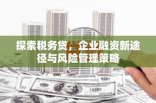 科尔沁左翼后旗探索税务贷，企业融资新途径与风险管理策略