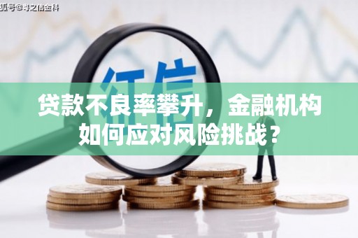 科尔沁左翼后旗贷款不良率攀升，金融机构如何应对风险挑战？