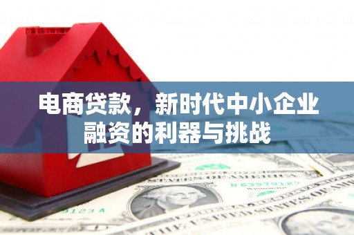 科尔沁左翼后旗电商贷款，新时代中小企业融资的利器与挑战