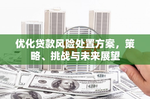 科尔沁左翼后旗优化贷款风险处置方案，策略、挑战与未来展望