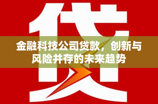 科尔沁左翼后旗金融科技公司贷款，创新与风险并存的未来趋势
