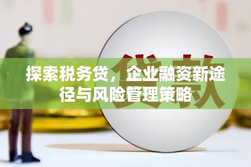 科尔沁左翼后旗探索税务贷，企业融资新途径与风险管理策略