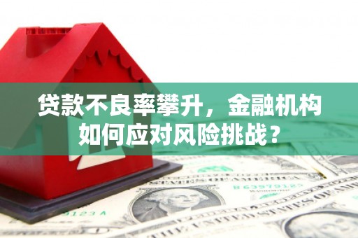 科尔沁左翼后旗贷款不良率攀升，金融机构如何应对风险挑战？