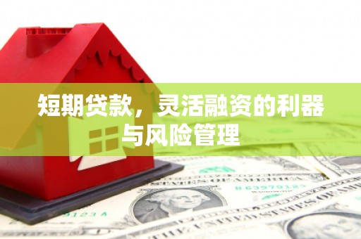 科尔沁左翼后旗短期贷款，灵活融资的利器与风险管理