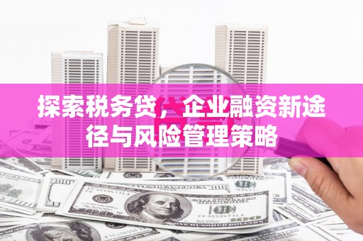 科尔沁左翼后旗探索税务贷，企业融资新途径与风险管理策略