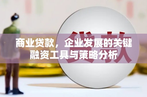 科尔沁左翼后旗商业贷款，企业发展的关键融资工具与策略分析