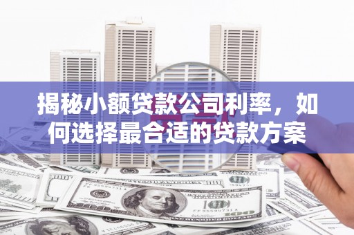 科尔沁左翼后旗揭秘小额贷款公司利率，如何选择最合适的贷款方案