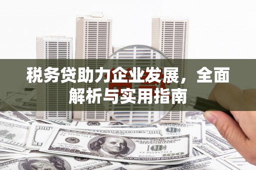 科尔沁左翼后旗税务贷助力企业发展，全面解析与实用指南