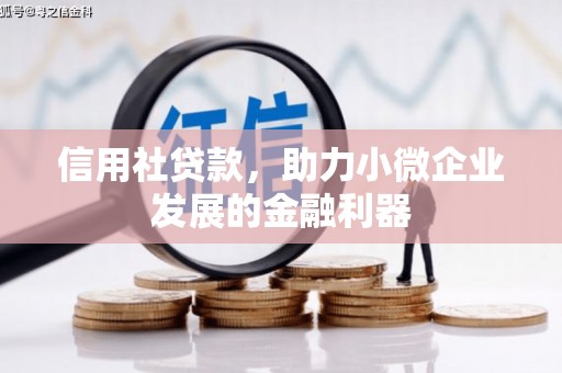 科尔沁左翼后旗信用社贷款，助力小微企业发展的金融利器