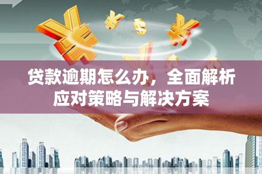 科尔沁左翼后旗贷款逾期怎么办，全面解析应对策略与解决方案